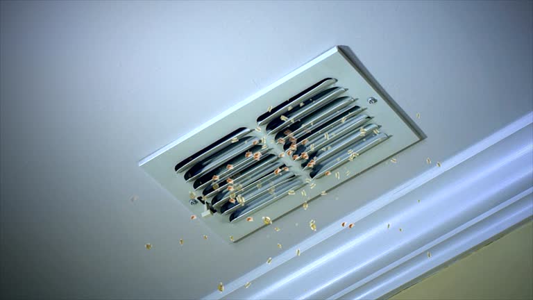 Best HVAC Air Duct Cleaning  in Rocky Mount, VA