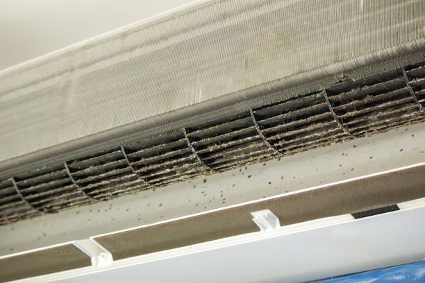 Best Commercial HVAC Duct Cleaning  in Rocky Mount, VA